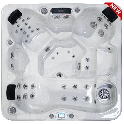 Avalon-X EC-849LX hot tubs for sale in Ecatepec